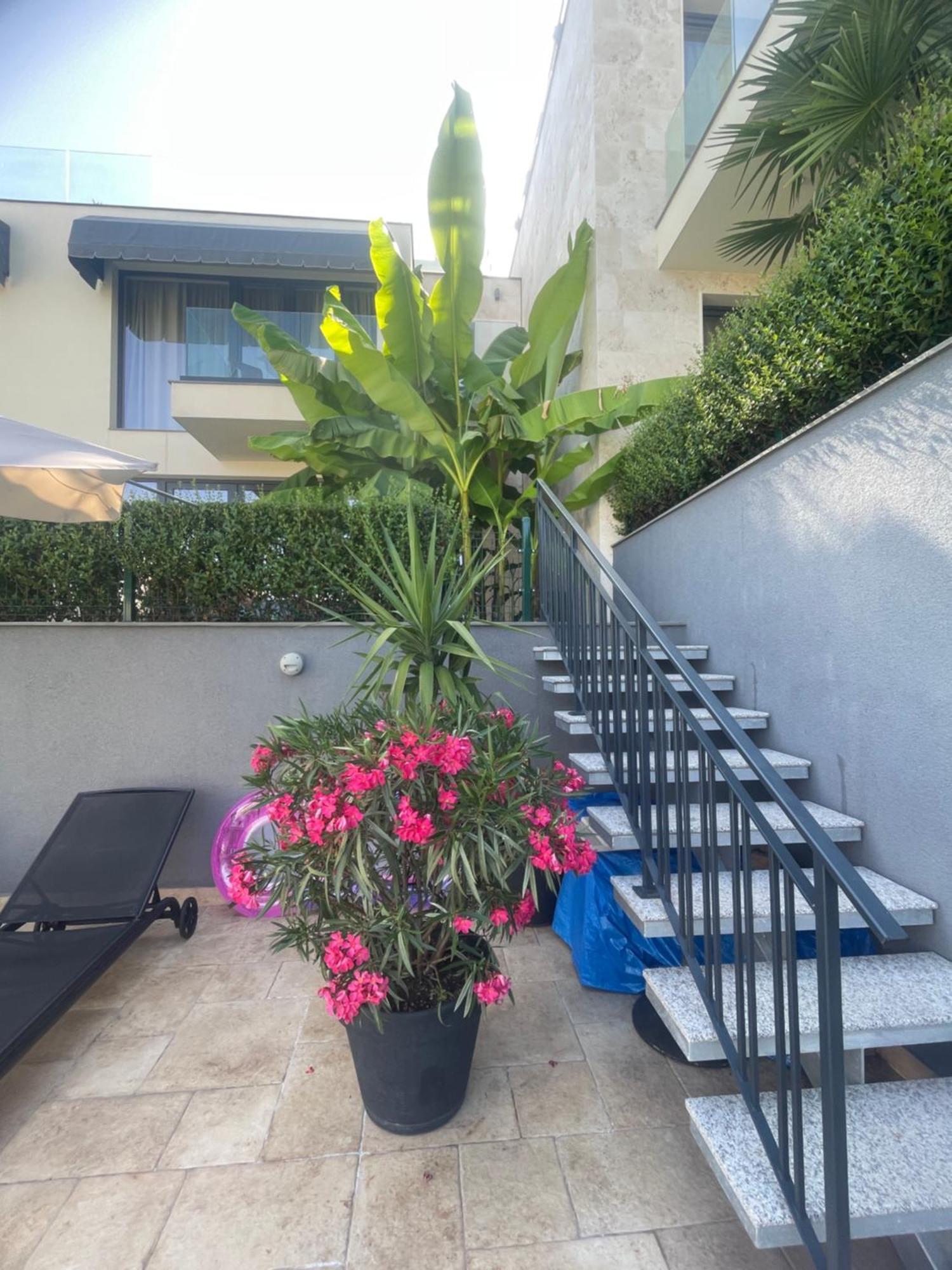 Buena Vista Villas Varna Dış mekan fotoğraf